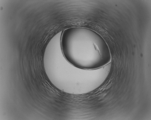 X0000067531202200604071040
