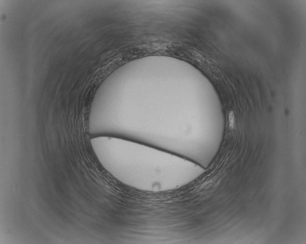 X0000067531203200604071040