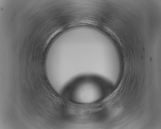 X0000067531210200604071041
