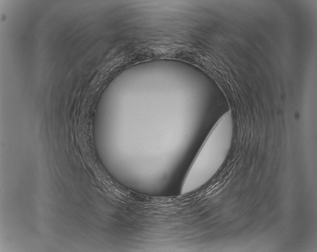 X0000067531249200604071040