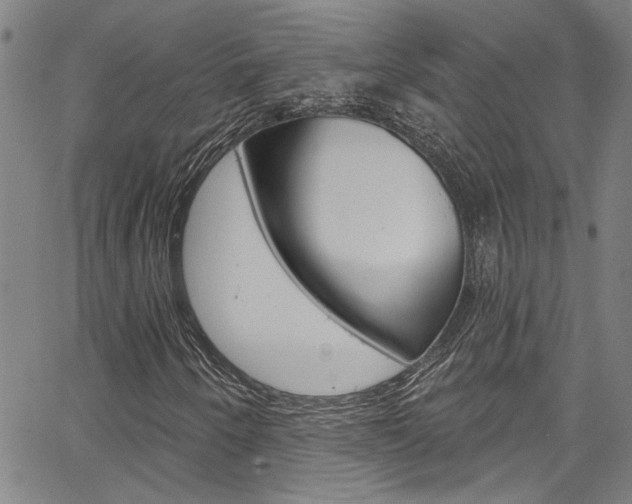 X0000067531250200604071040