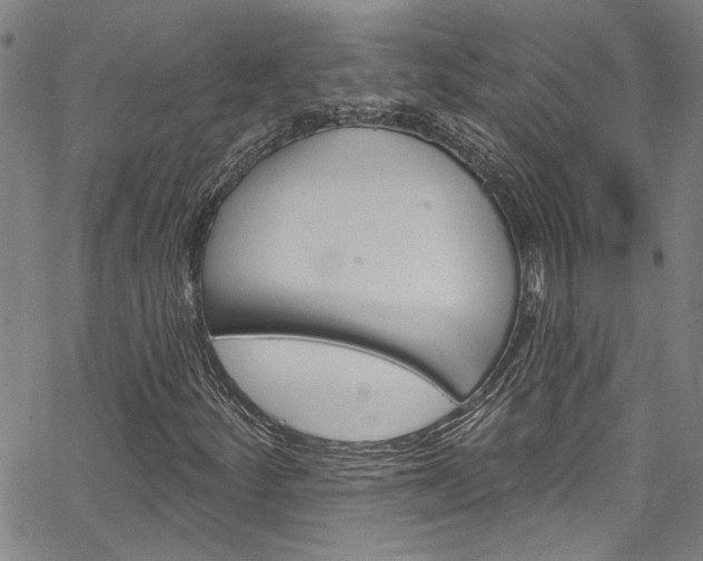 X0000067531252200604071040