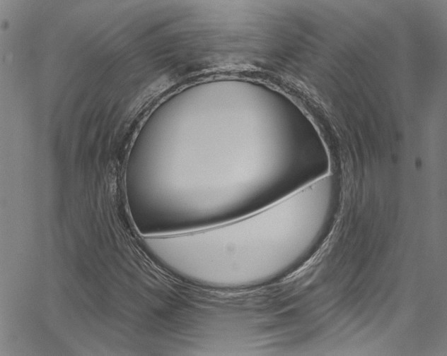 X0000067531257200604071040