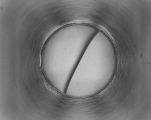 X0000067531276200604071040