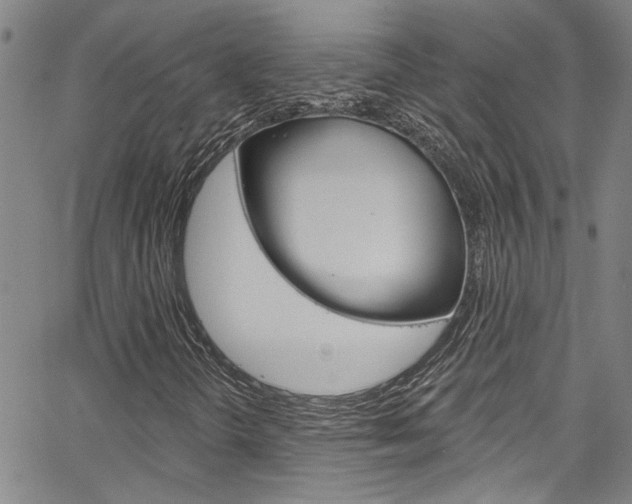 X0000067531298200604071039