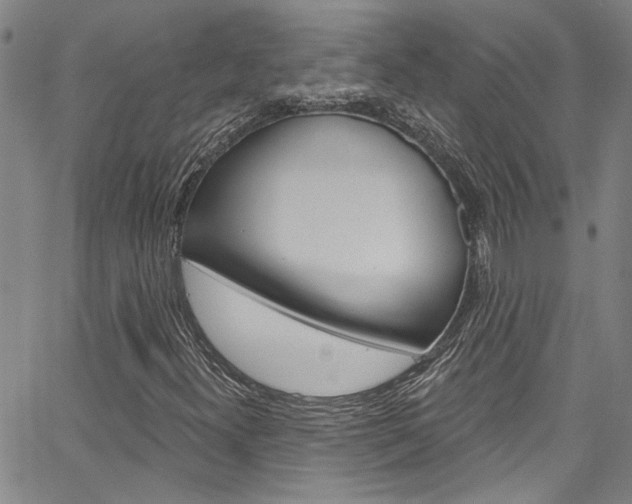 X0000067531300200604071039