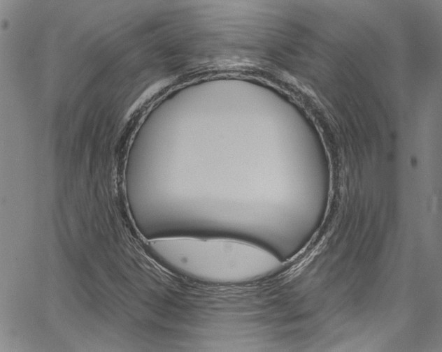 X0000067531306200604071039