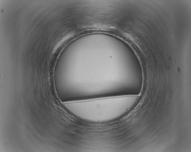 X0000067531307200604071039