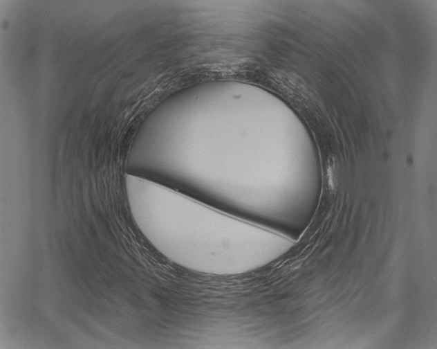 X0000067531347200604071039