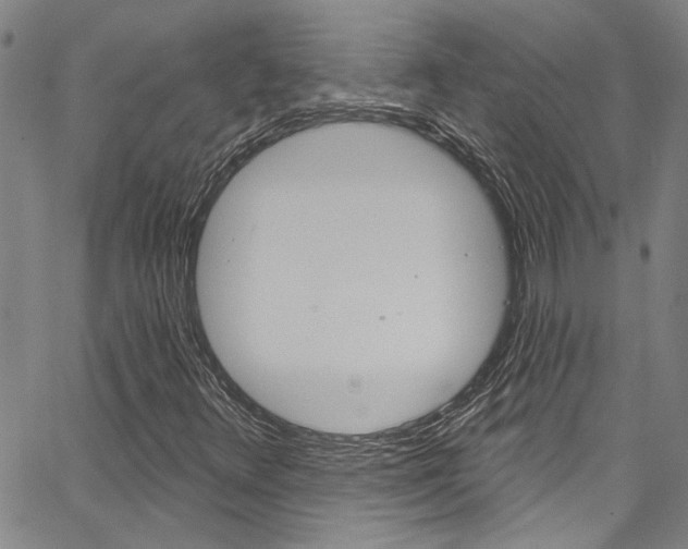 X0000067531348200604071039
