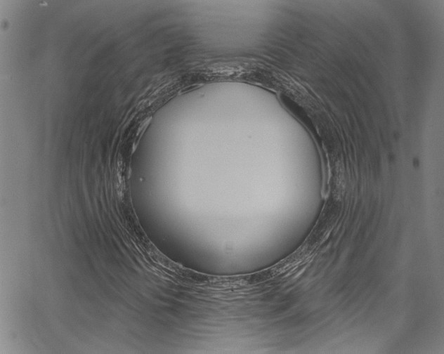 X0000067531394200604071037