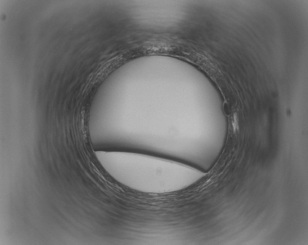 X0000067531396200604071037