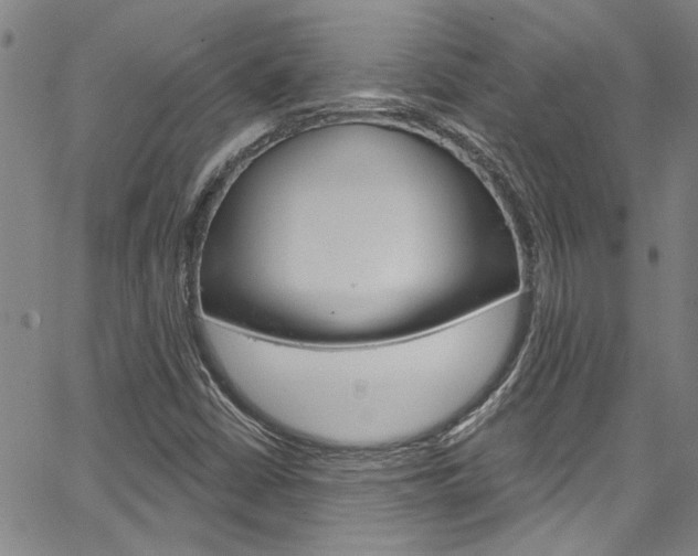 X0000067531402200604071037