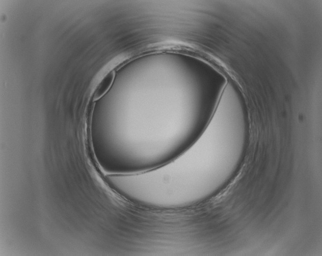 X0000067531418200604071038