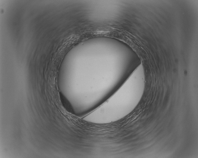 X0000067531441200604071037