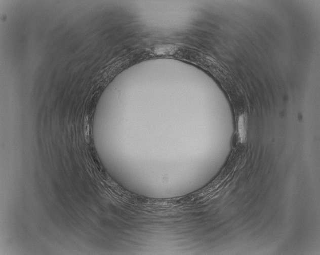 X0000067531443200604071037