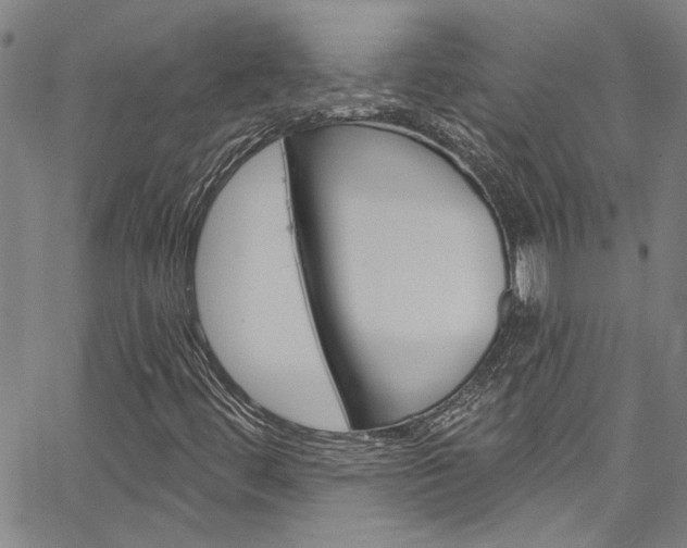 X0000067531444200604071037