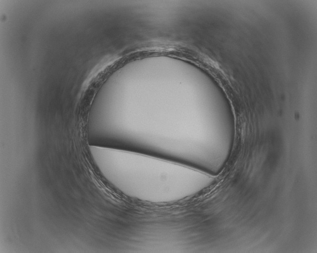 X0000067531448200604071037