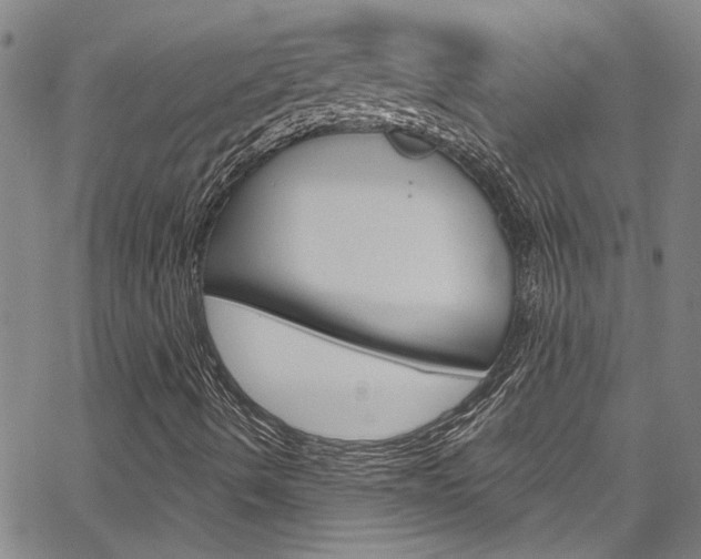 X0000067531490200604071036