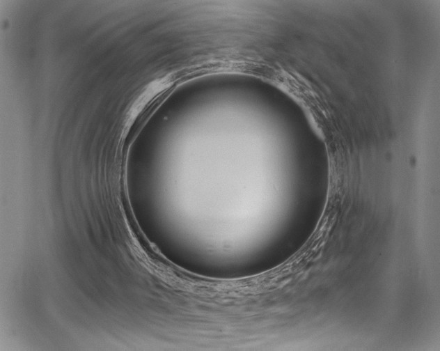 X0000067530003200604071358