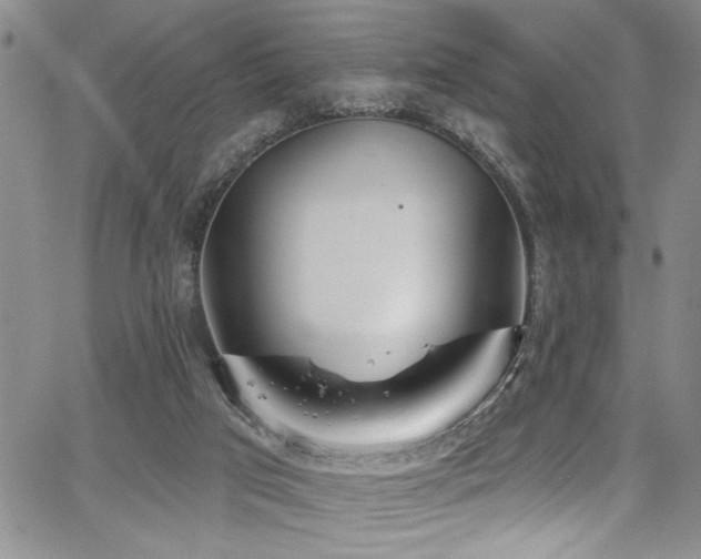 X0000067530017200604071358