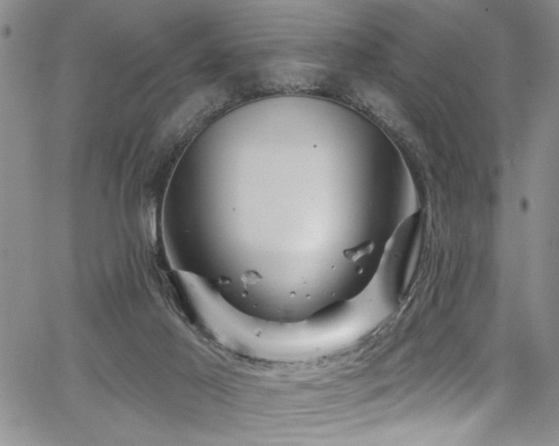 X0000067530021200604071358