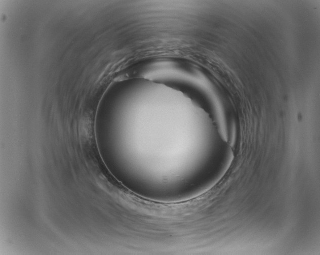 X0000067530035200604071357