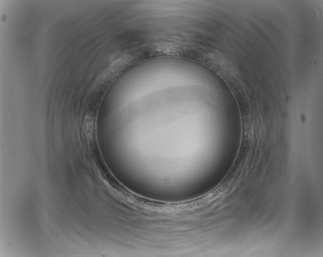 X0000067530036200604071357