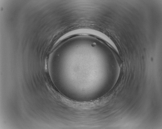 X0000067530042200604071357