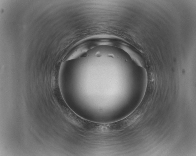 X0000067530080200604071357