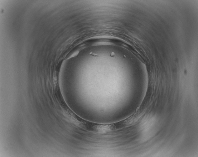 X0000067530085200604071357