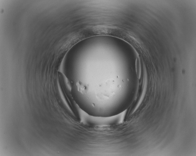X0000067530125200604071356
