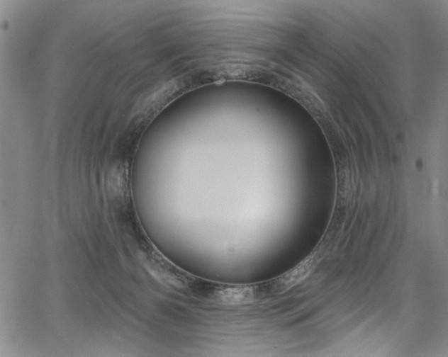 X0000067530126200604071356