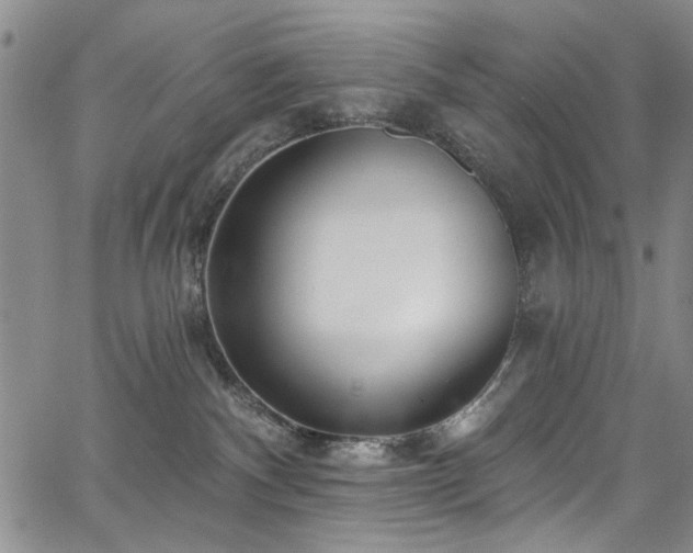 X0000067530140200604071355