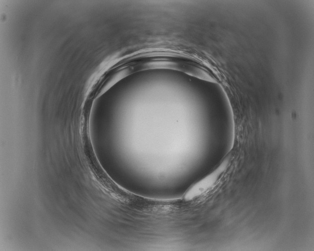 X0000067530152200604071355