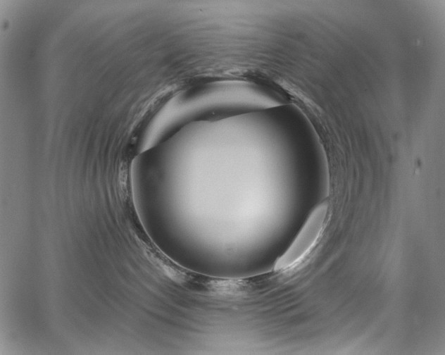 X0000067530192200604071355