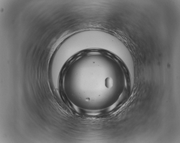 X0000067530195200604071355