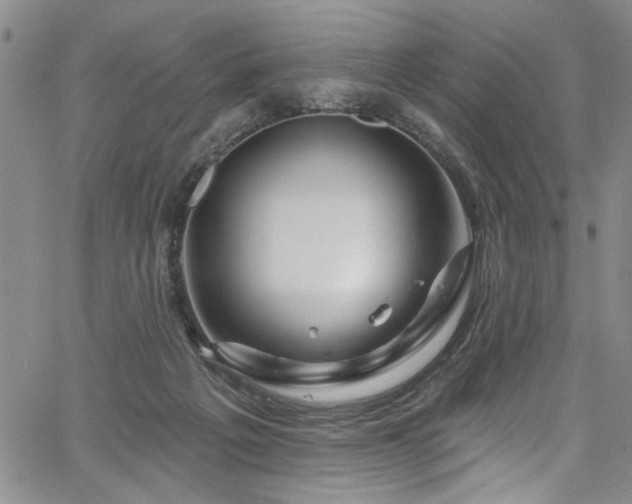 X0000067530217200604071354