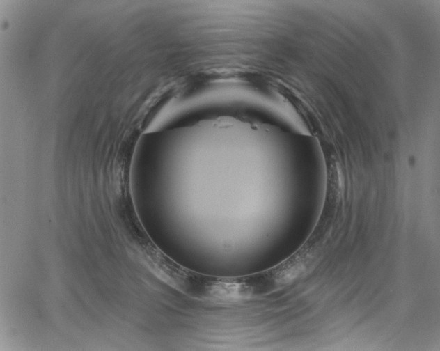 X0000067530227200604071354