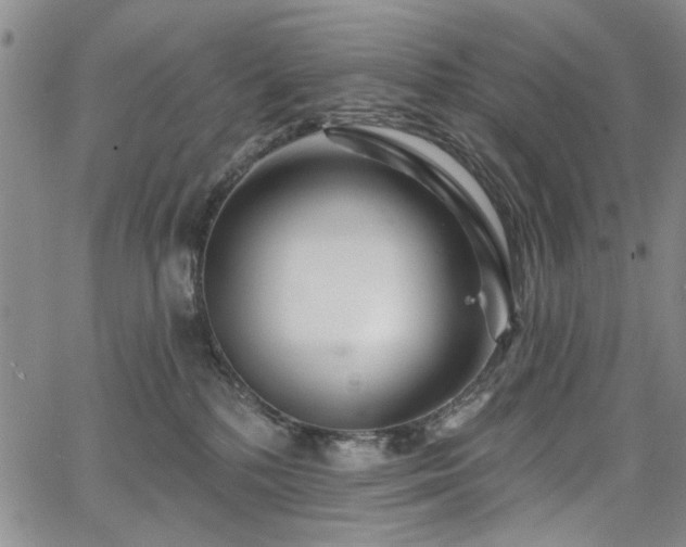 X0000067530232200604071354