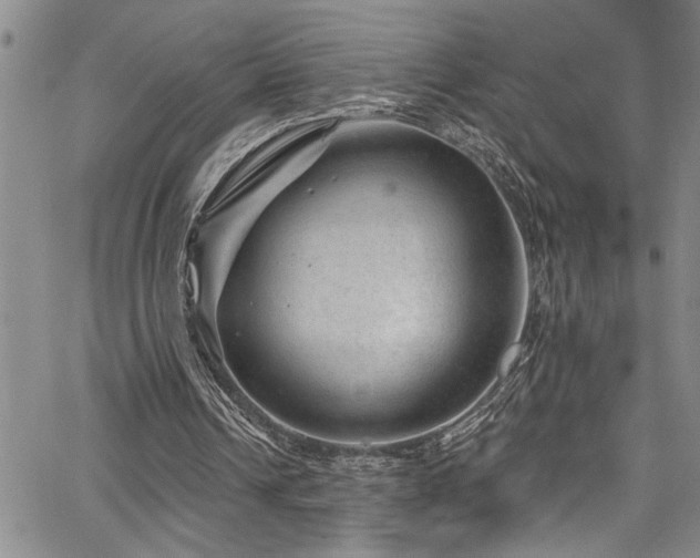 X0000067530242200604071353