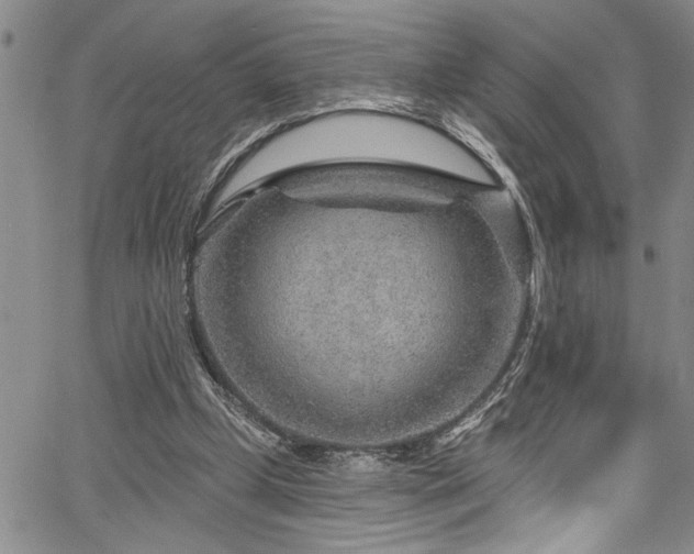 X0000067530249200604071353