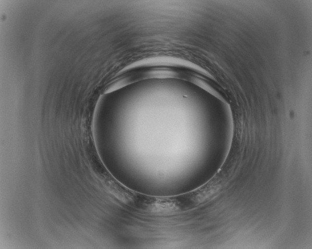 X0000067530270200604071354