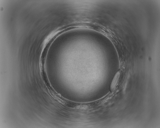 X0000067530294200604071353