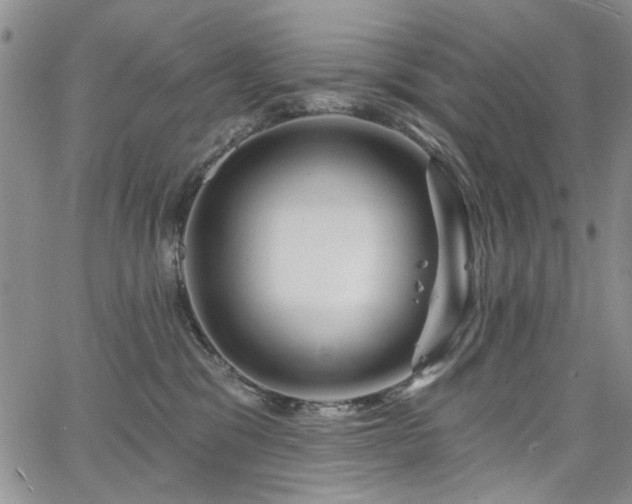 X0000067530329200604071352
