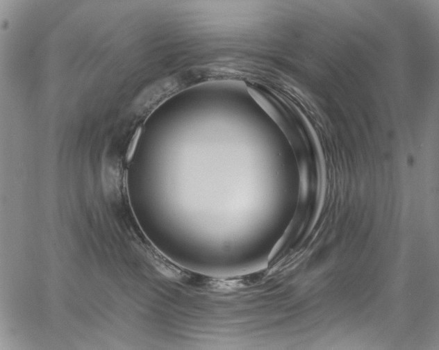 X0000067530333200604071352