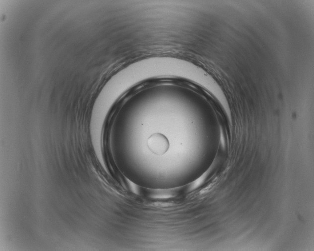 X0000067530383200604071352