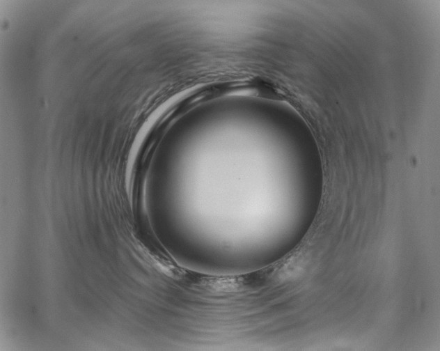 X0000067530384200604071352