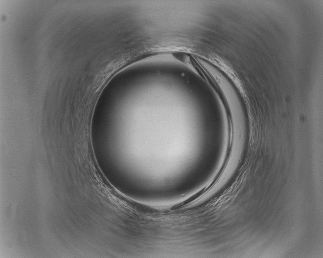 X0000067530385200604071352