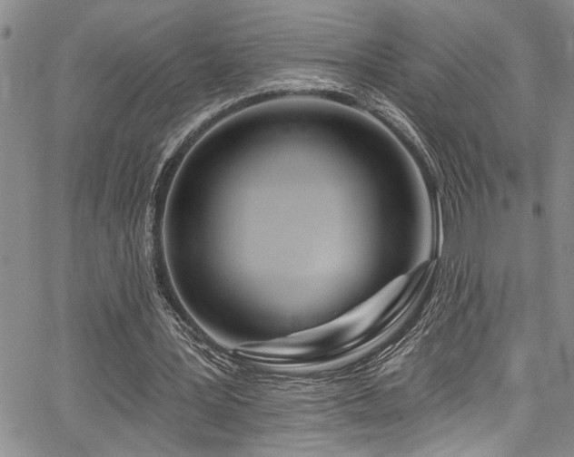 X0000067530387200604071351